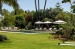 AVXADP2129_98996_V0_419C.jpg