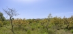 27-f6e8bc237ba13ac4c268badec6354f3d.jpg
