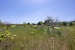 31-5e8b9eb86a2d455eeaf43a7bbf3ccd12.jpg