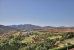 20-d1f7658cbe4ba6cd8666fec30fba80ad.jpg